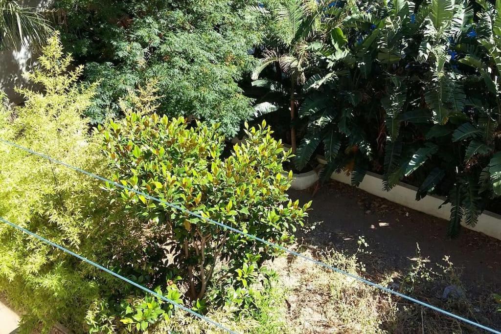 Seaside Family Apartment Loutraki Εξωτερικό φωτογραφία